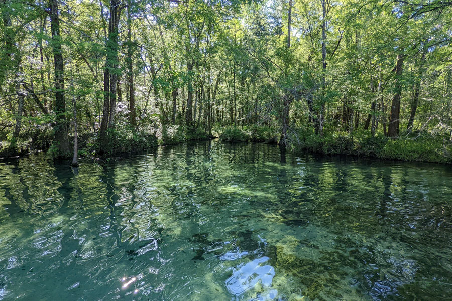 De Leon Springs State Park