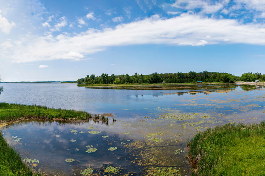 Emeralda Marsh Conservation Area