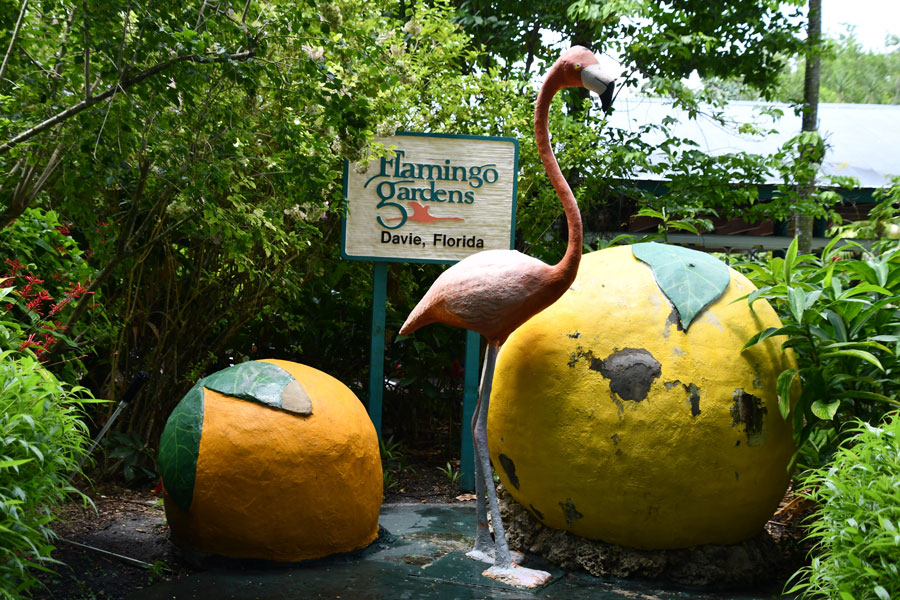 Flamingo Gardens Botanical Gardens & Wildlife Sanctuary