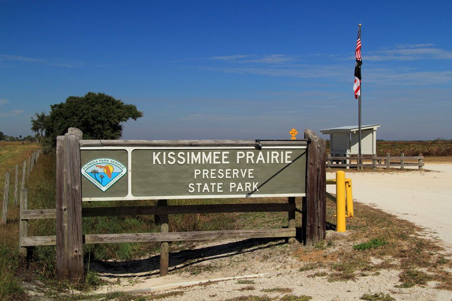 Kissimmee Prairie Preserve State Park