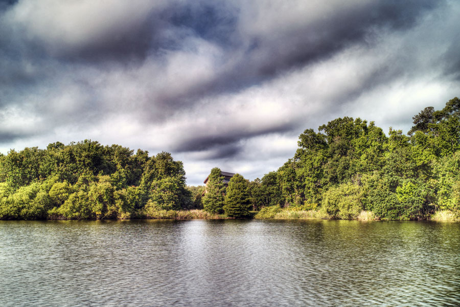 Lake Alice in Gainesville, Florida