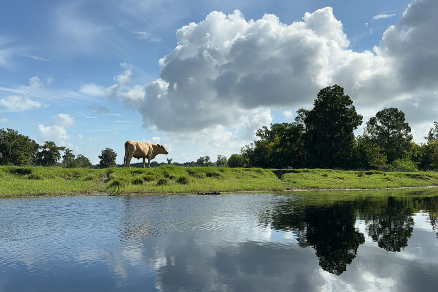 Lake Istokpoga