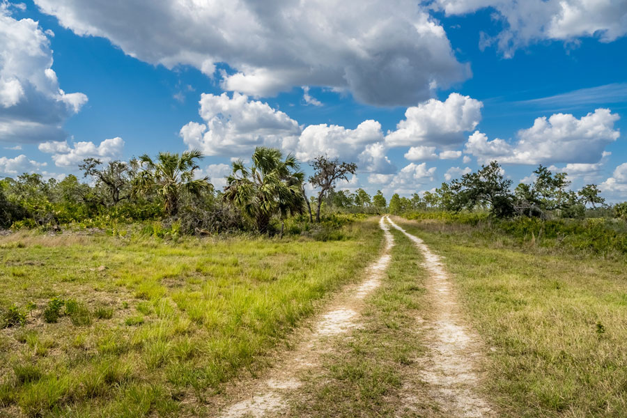 The Legacy Trail