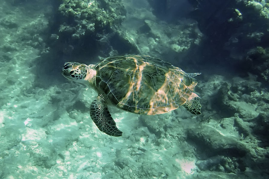 Looe Key National Marine Sanctuary