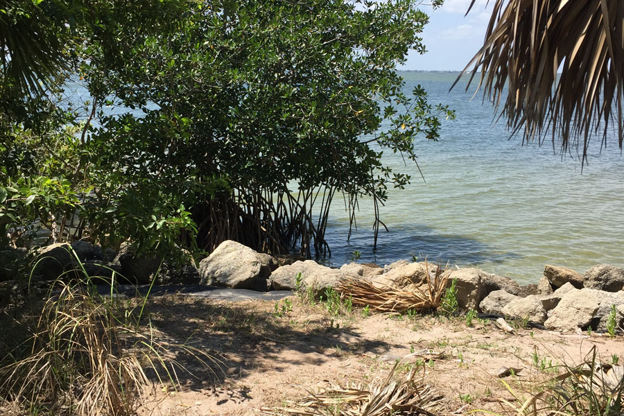 Manatee Sanctuary Park