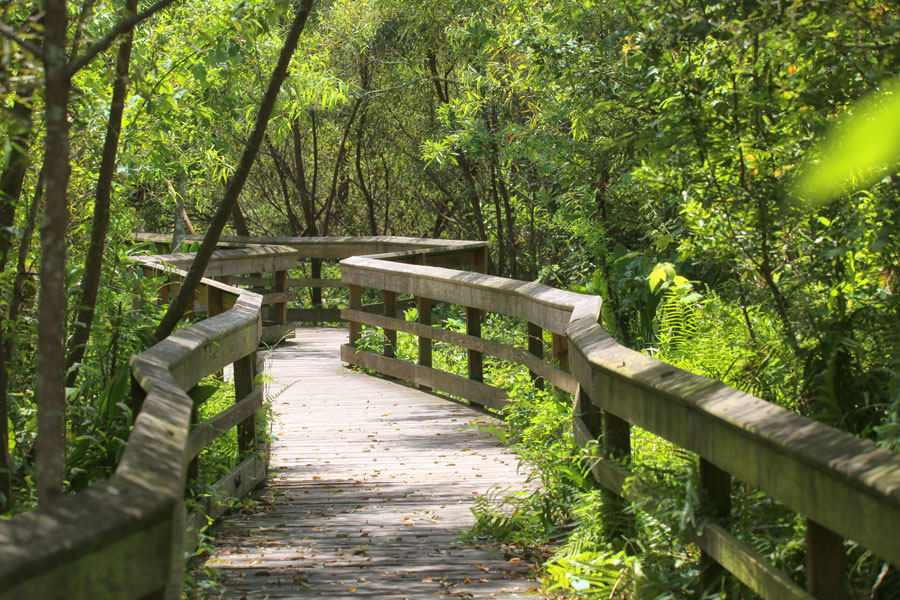 Mead Botanical Gardens