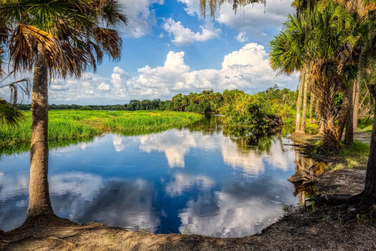 Myakka River State Park - Florida Vacations, Travel & Tourism Guide