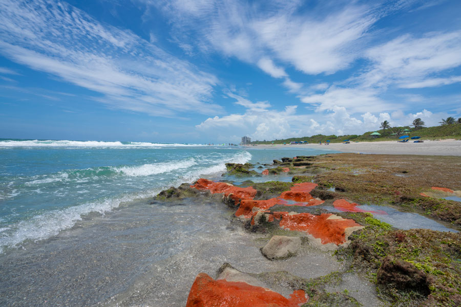 Red Reef Park  in Boca Raton