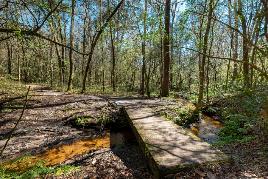 San Felasco Hammock Preserve State Park