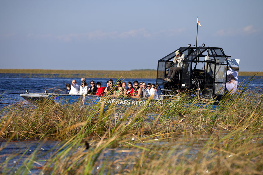 Sawgrass Recreation Park in the National Everglades Park