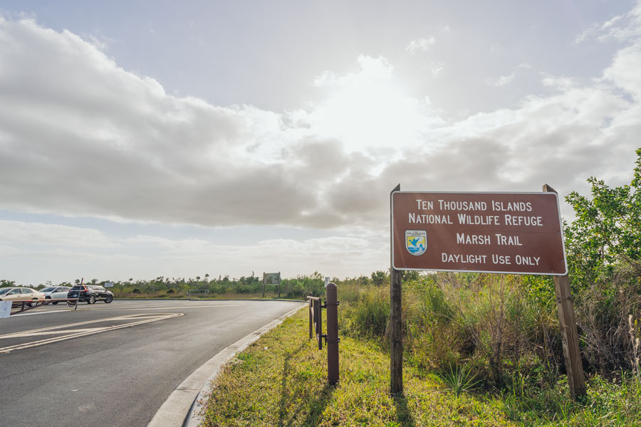 Ten Thousand Islands