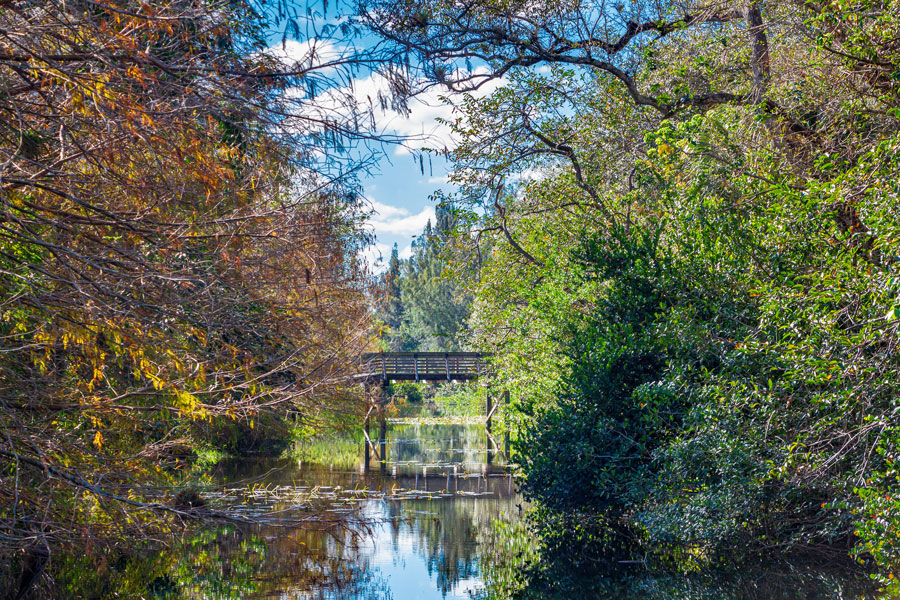 Tree Tops Park