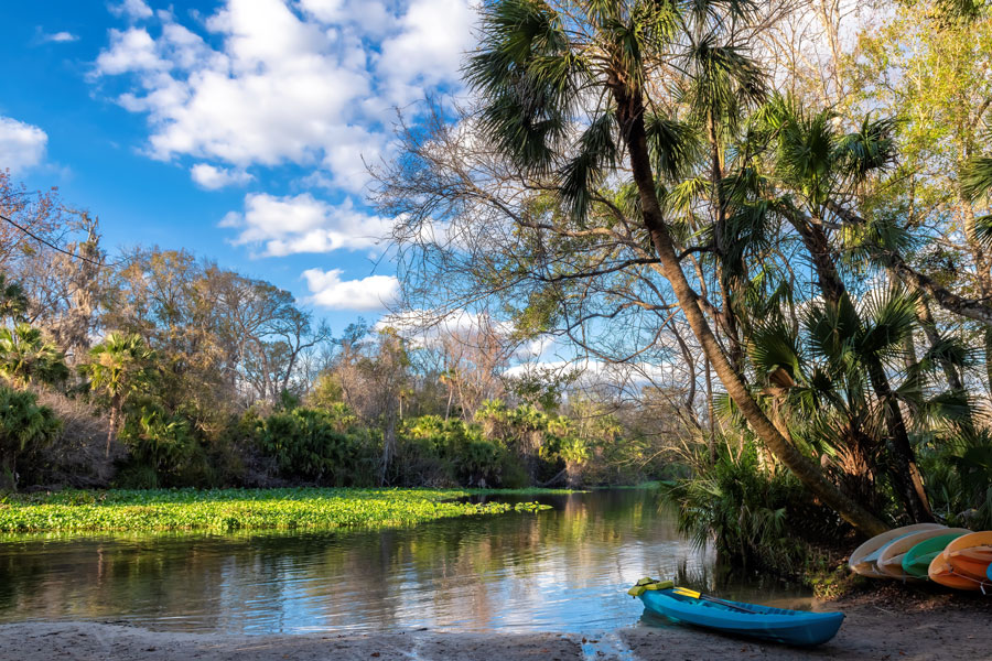 Wekiwa Springs State Park