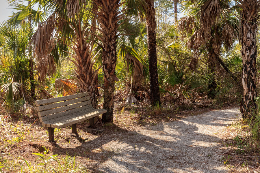 Rookery Bay | National Estuarine Research Reserve