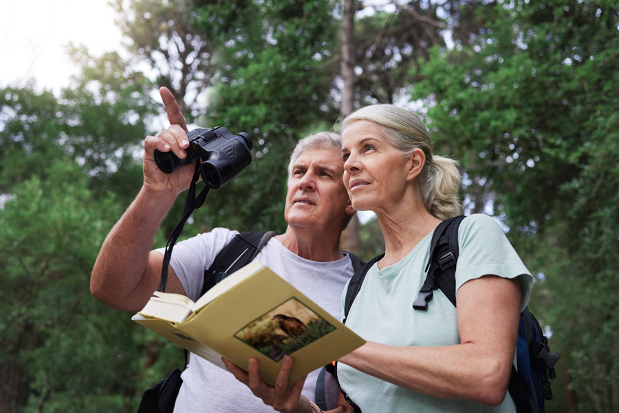 Bird Watching Tours