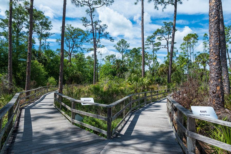 Audubon Corkscrew Swamp Sanctuary