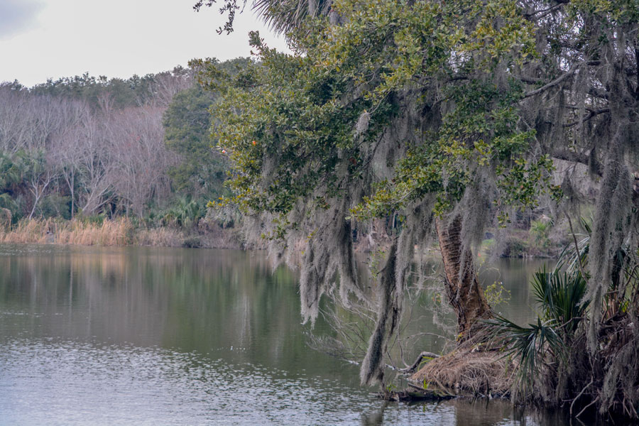 Kathryn Abbey Hanna Park