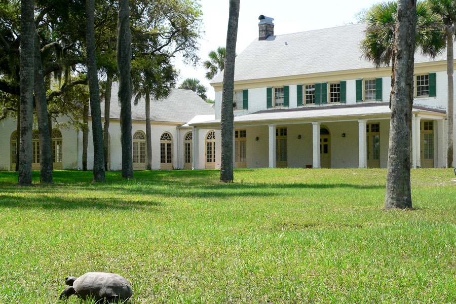 Fort George Island