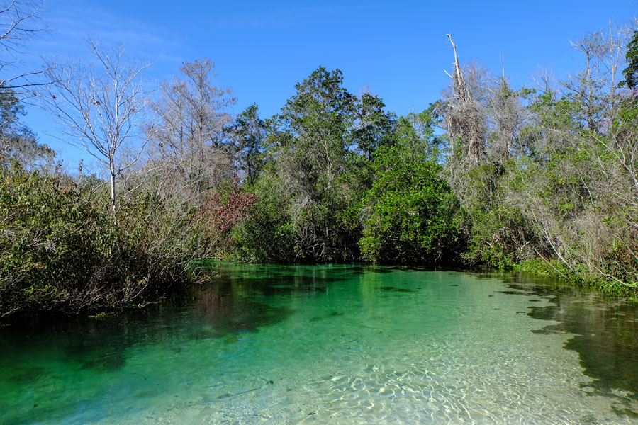 Weeki Wachee Springs State Park