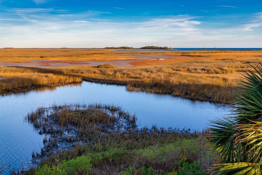 St. Marks National Wildlife Refuge